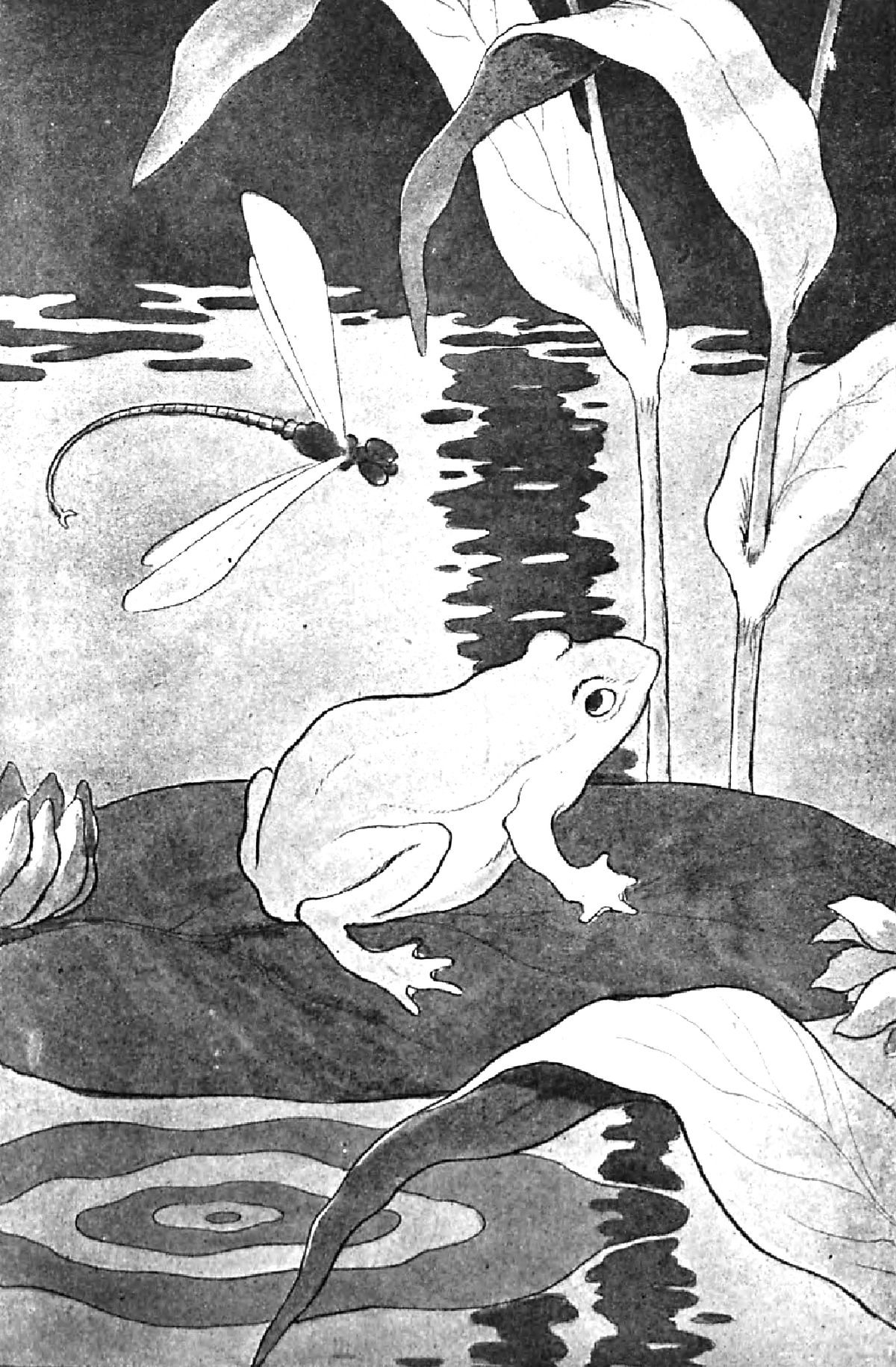 Dimanche 6 mai 2018 – VISITE ATELIER – Histoires naturelles, Jules Renard