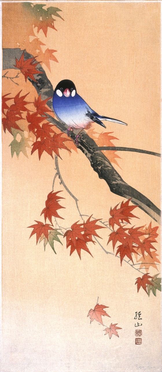 Dimanche 11 octobre 2020 – 14h30 – ATELIER HAIKU – Haiku d’automne